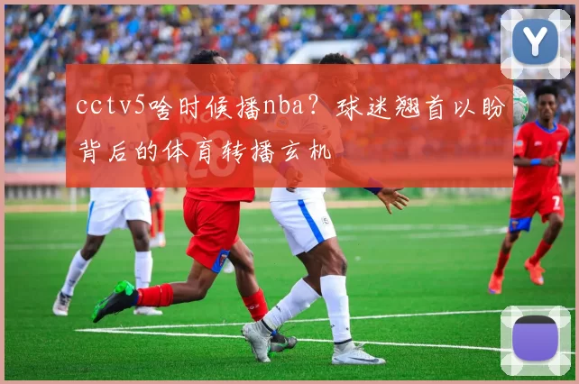 cctv5啥时候播nba?球迷翘首以盼背后的体育转播玄机