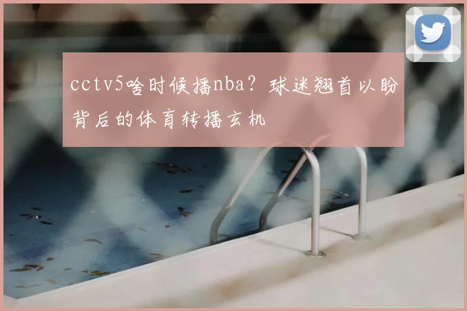 cctv5啥时候播nba?球迷翘首以盼背后的体育转播玄机